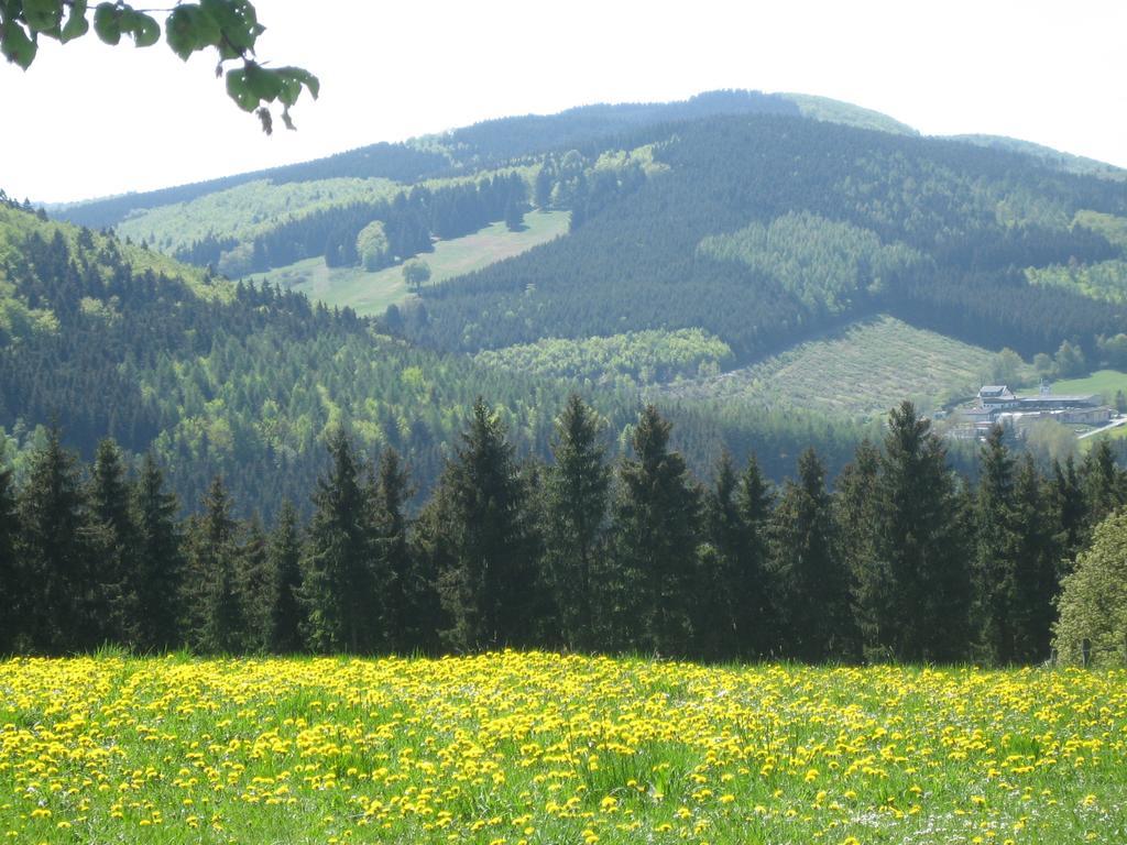 Ferienwohnung Inge Steinruecken Winterberg Zewnętrze zdjęcie